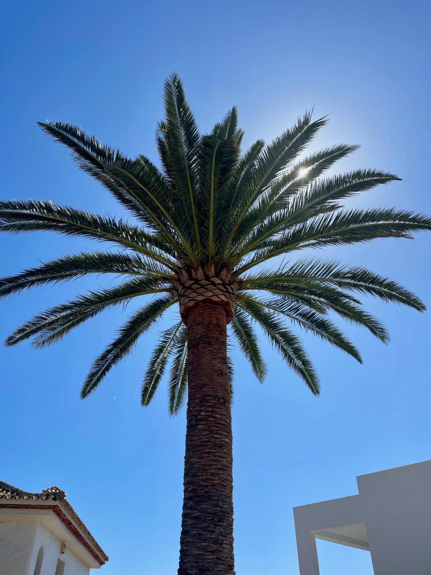 Tierratlanta Suites Zahara de los Atunes Luaran gambar
